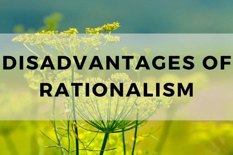 Disadvantages of Rationalism